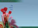 see more instant gift certificates
